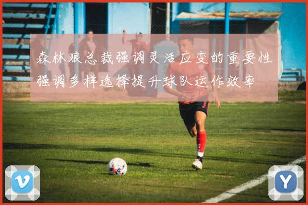 森林狼总裁强调灵活应变的重要性强调多样选择提升球队运作效率